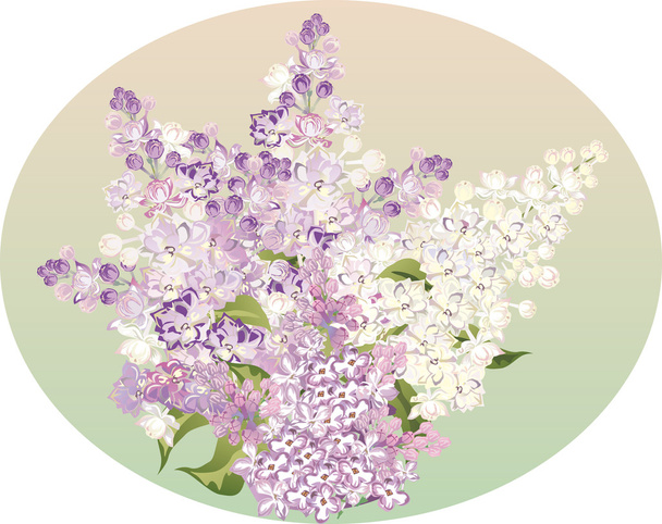 bos van licht lila bloemen - Vector, afbeelding