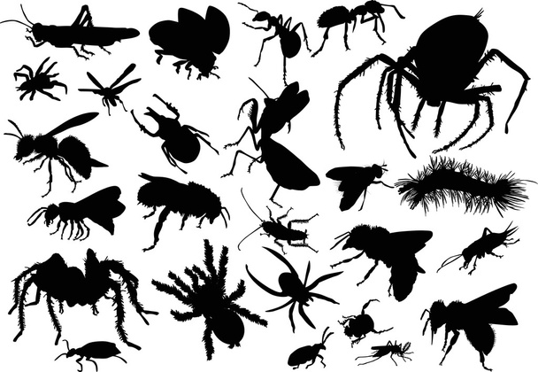 vingt-cinq silhouettes d'insectes
 - Vecteur, image