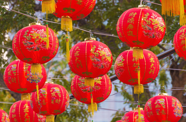 Lanterna tradicional chinesa pendurada na árvore no parque público
. - Foto, Imagem