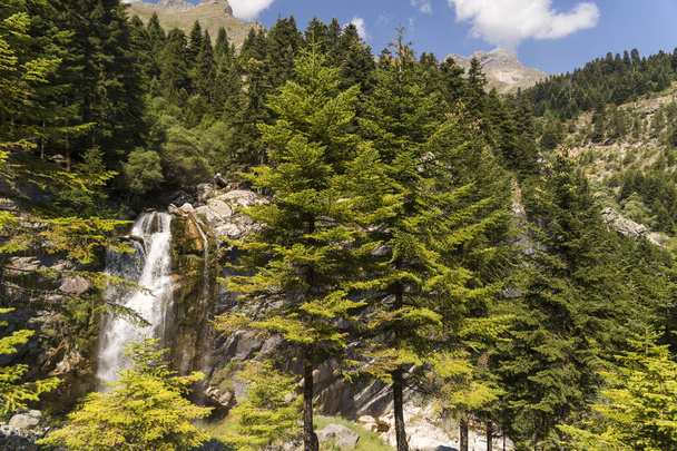 montanha e cachoeiras na aldeia theodorian arta perfecture greece abetos floresta altas rochas borboleta pura natureza - Foto, Imagem