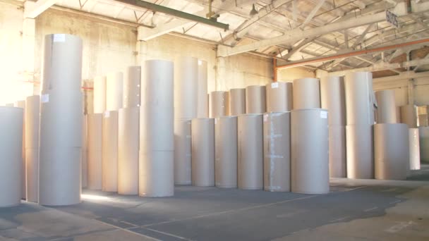 Склад гофрированных бумажных рулонов на картонно-коробчатой фабрике - Кадры, видео
