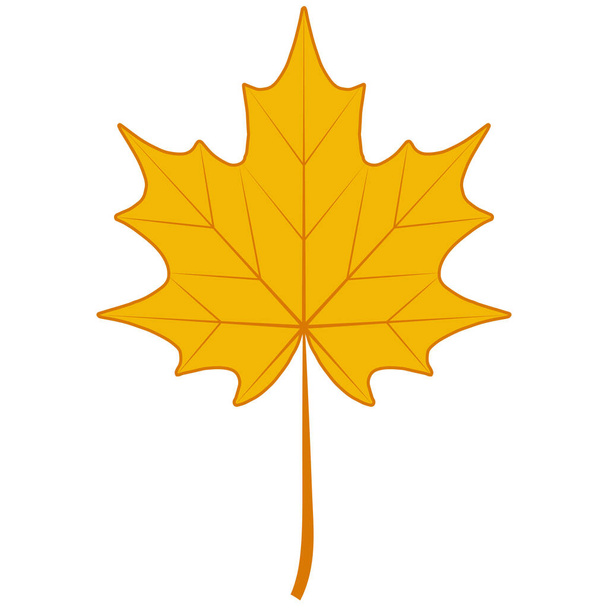 Otoño arce seco hoja símbolo Canadá arce otoño hoja caída - Vector, imagen