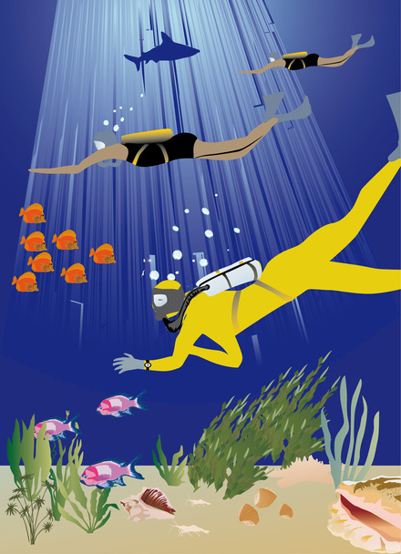 fishes and divers illustration - Vector, Image
