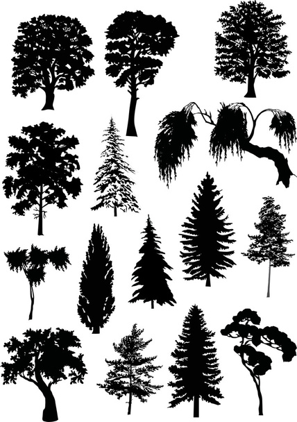 fifteen tree silhouettes - Vector, Image