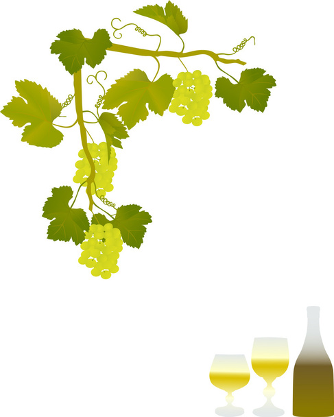 green grapes corner and vine - Vector, Image
