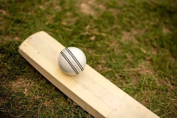 Cricket bat and ball on playing grass field pitch - Foto, afbeelding