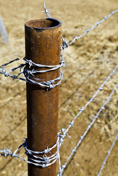 Szögesdrót kerítés - Fotó, kép