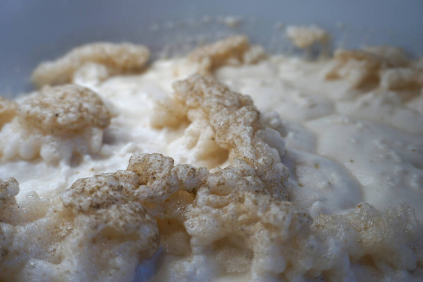 Beer yeast foam - alcohol fermentation process - Photo, Image