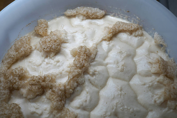 Beer yeast foam in fermenter - alcohol fermentation process - Photo, Image