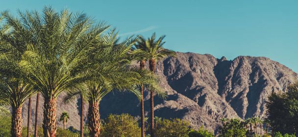 Paisaje del Valle de Coachella de California con palmeras y montañas. - Foto, Imagen