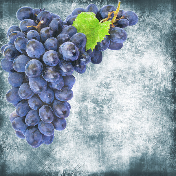 Siniset viinirypäleet, vintage tausta
 - Valokuva, kuva