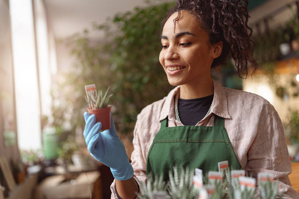 Woman florist takes care of seedlings in floral studio. Blurred background. High quality photo - Photo, image