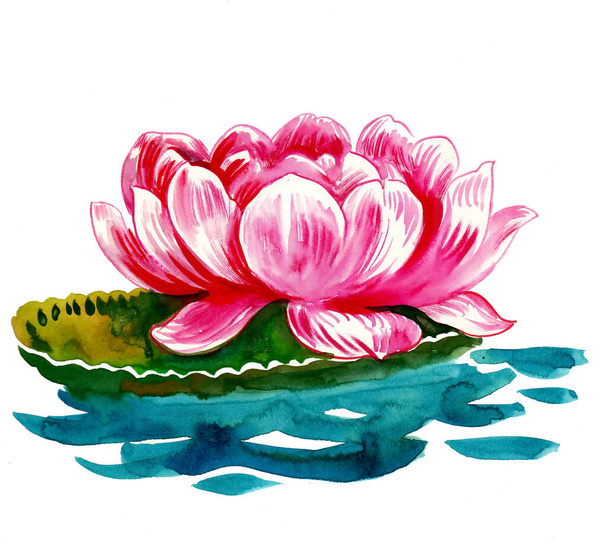 Flor de loto flotando en el agua. Dibujo de tinta y acuarela - Foto, imagen