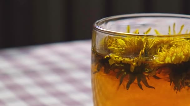 Voikukka kukka terveellistä teetä lasi teekannu ja lasi kuppi pöydälle. Herkullista yrttiteetä kaatamalla tuoreita voikukan kukkia kotona kesäpäivänä lähellä puutarhaa. Vihreä clearing Kuuma voikukka teetä - Materiaali, video