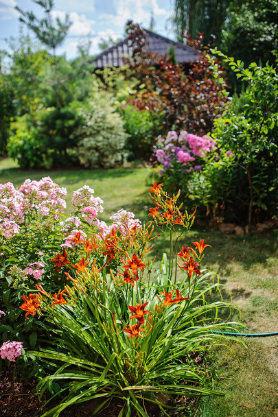 Beautiful summer garden view - Photo, image