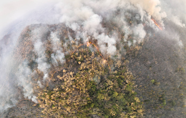 Wildfires release carbon dioxide (CO2) emissions and other greenhouse gases (GHG) that contribute to climate change and global warming. - Valokuva, kuva