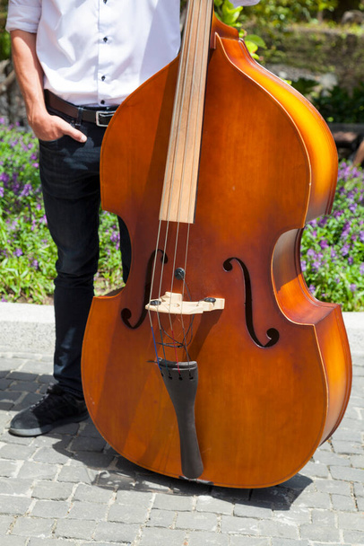Close-up on a musician next to his Double bass. - Фото, изображение