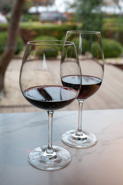 Tasting of red reserva rioja wines, visit of winery cellar in Haro, capital of Rioja wine making region, Spain - Φωτογραφία, εικόνα
