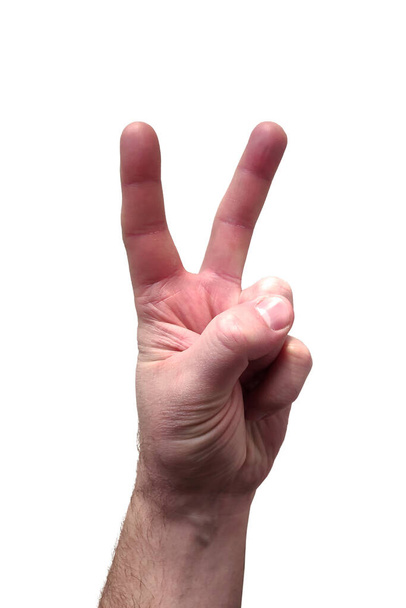 Caucasian male hand showing peace sign / number two on white background - Foto, immagini