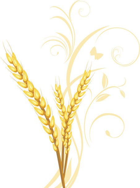Three wheat ears with floral ornament - Vector, Imagen