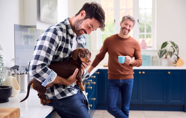 Same Sex Male Couple At Home In Kitchen Stroking Pet Dachshund Dog - 写真・画像