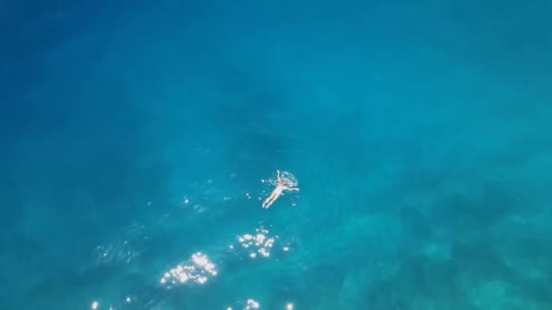 Aerial view of a girl swimming in the Mediterranean Sea. High quality FullHD footage - Footage, Video