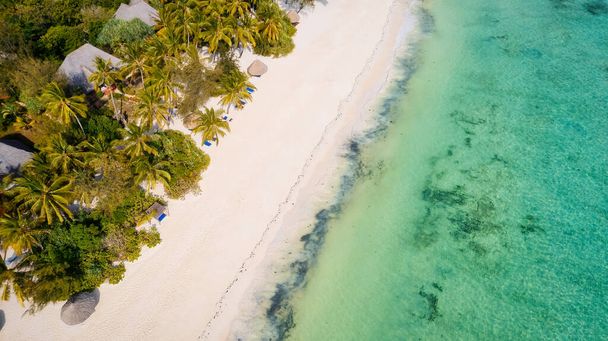 This aerial photo of Kiwengwa Beach in Zanzibar showcases the stunning natural beauty of the island, with its golden sand, turquoise waters, and lush foliage creating the perfect backdrop for a relaxing vacation. - Foto, Imagen