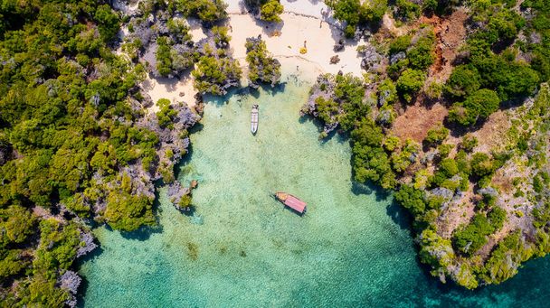 Discover the beauty of Zanzibar's hidden gems at Blue Safar Zanzibar, where you can explore the island's charming coves, enjoy a thrilling boat ride, and immerse yourself in the local culture with delicious food and refreshing drinks - Fotoğraf, Görsel