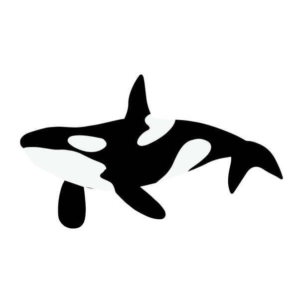 Orka bálnák. Tengeri állat gyilkos bálnák. Skandináv stílusú tengeri állat. - Vektor, kép