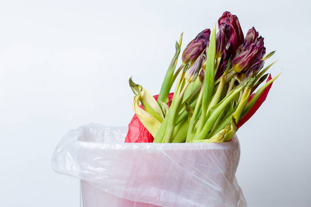 wilted flower. Wilted tulipsin red packaging. In the garbage bucket - Fotó, kép