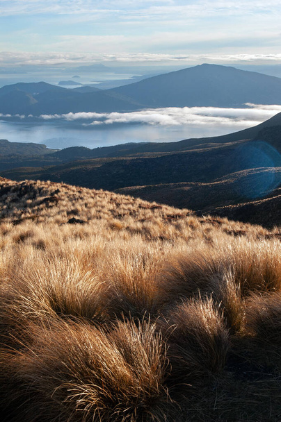 view of mountains, lake and sea of clouds, photograph taken from a hill in tongarino national park new zealand - Fotoğraf, Görsel