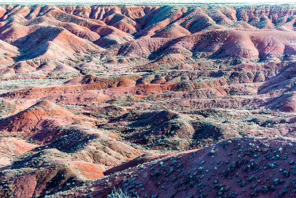 2014 年 12 月 21 日 - 化石の森、アリゾナ州、アメリカ合衆国 - 写真・画像