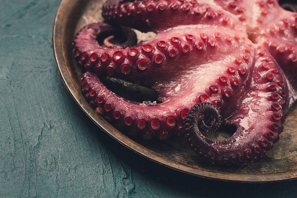 Boiled octopus, close-up, rustic style, no people, top view, close-up, - Foto, Bild