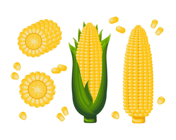 Granoturco dolce, pannocchie di mais con foglie, chicchi di mais. Icona impostata. Concetto agricolo. Icone alimentari, vettore - Vettoriali, immagini