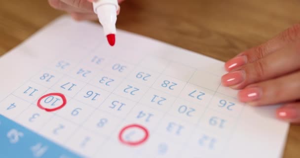 De vrouw markeert de data op de kalender met rode stift. Belangrijke werkdagen zakenvrouw - Video