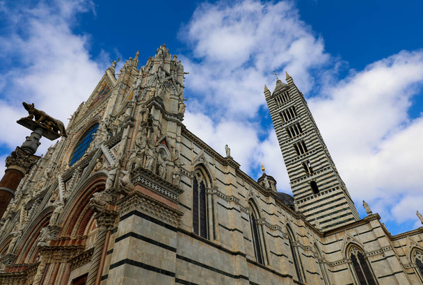 Duomo di Siena con campanile e statua del lupo chiamato LUPA in Italia centrale - Foto, immagini
