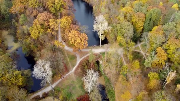 Large beautiful landscaped park in autumn day. Top view. Flying over trees with yellow red green orange fallen leaves, lakes meadow, people walking on dirty paths. Beautiful landscape view autumn park - Footage, Video