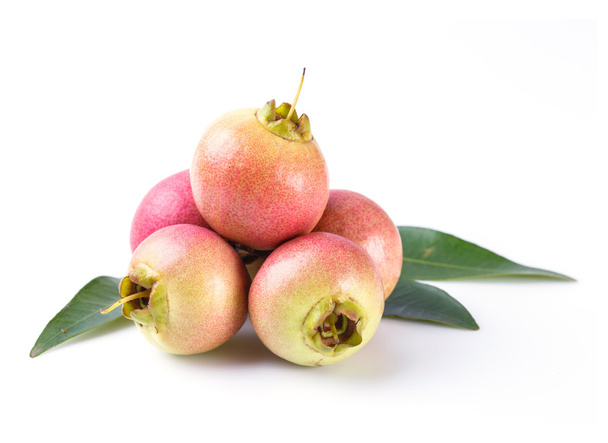 Syzygium jambos mela rosa
 - Foto, immagini
