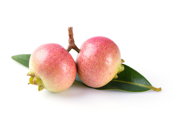 Яблоко сизигиума
 - Фото, изображение