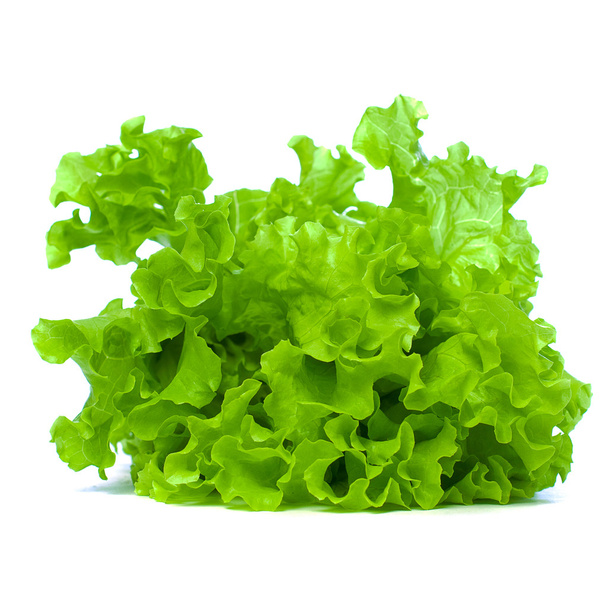 Green Leaves Lettuce Isolated on White Background - Photo, Image