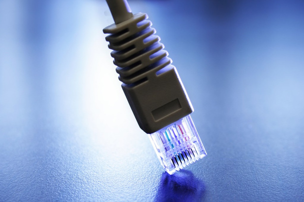 Network cable - Photo, image