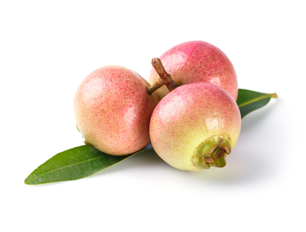 Syzygium jambos růžové jablko - Fotografie, Obrázek