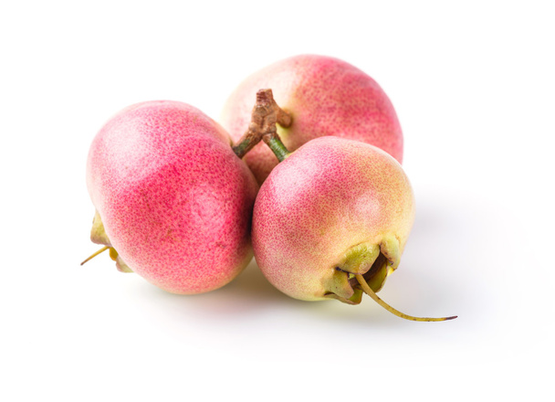 Syzygium jambos rosa manzana
 - Foto, imagen