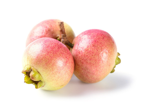 Яблоко сизигиума
 - Фото, изображение