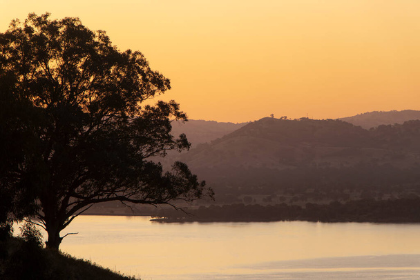 This stunning image captures the tranquil beauty of a sunset over Lake Hume, Victoria, with a striking silhouette of a tree. Perfect for use in advertising, websites, or as wall art for nature lovers. - 写真・画像