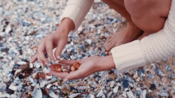 Hands, woman, and beach sea shell collection during summer vacation. Female tourist, explorer collecting different objects on the ocean floor, sand or shore on a tropical holiday destination. - Footage, Video