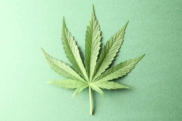 Hoja de cannabis
 - Foto, imagen