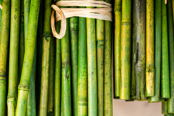 Зеленые бамбуковые палочки
 - Фото, изображение