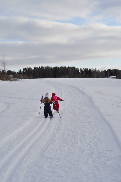 Δύο νεαρά κορίτσια κάνουν σκι και περπατούν στη χώρα των θαυμάτων του χειμώνα. Επίπεδο σκι είναι μια καλή δραστηριότητα για τα παιδιά στις διακοπές. - Φωτογραφία, εικόνα