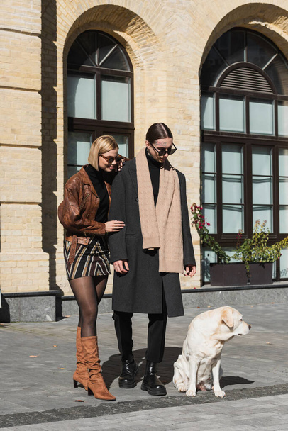 full length of young couple in stylish sunglasses looking at labrador on street  - Foto, Bild